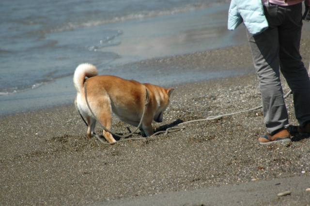 img0009.jpg