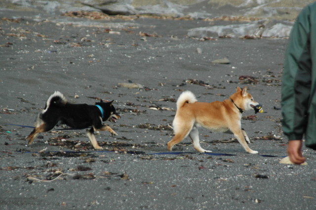 img0016.jpg