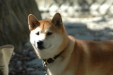 img0002.jpg