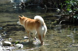 img0003.jpg