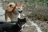 img0007.jpg