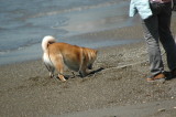 img0009.jpg