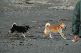 img0016.jpg