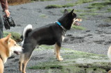 img0017.jpg