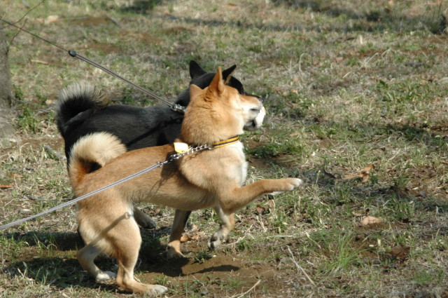 img0002.jpg