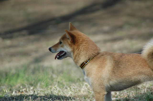 img0005.jpg