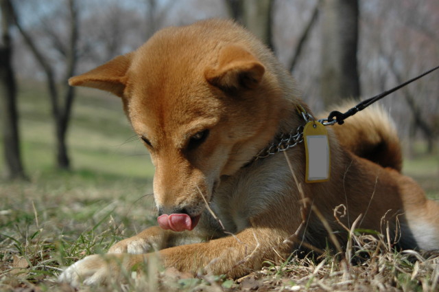 img0013.jpg