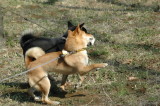 img0002.jpg