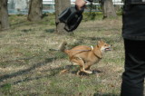 img0003.jpg