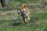 img0006.jpg