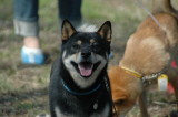 img0010.jpg