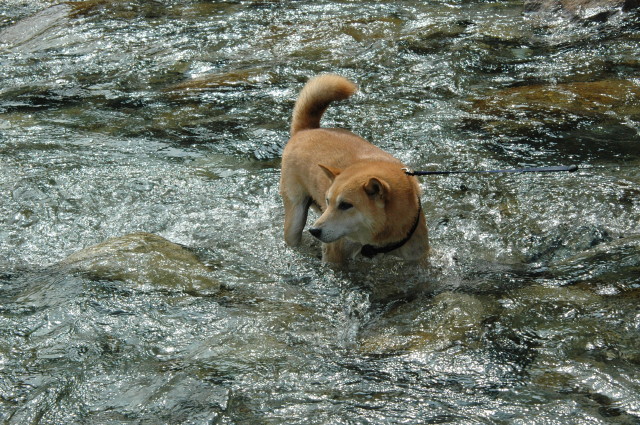 img0002.jpg