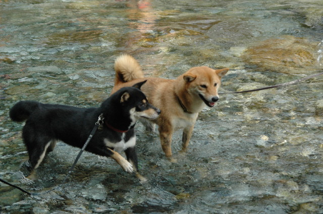img0006.jpg