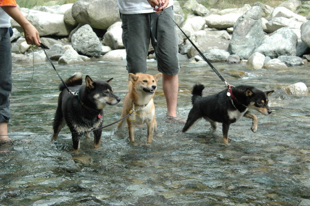 img0011.jpg