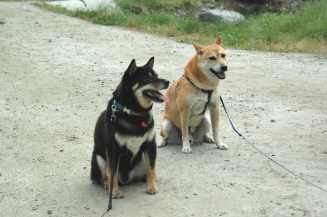 img0019.jpg
