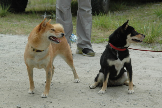 img0022.jpg
