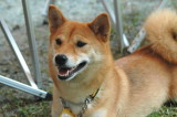 img0000.jpg