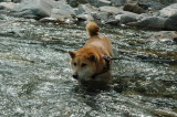 img0004.jpg