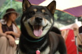 img0007.jpg
