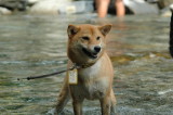 img0009.jpg