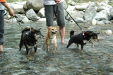 img0011.jpg