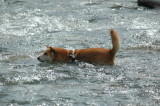img0015.jpg