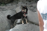 img0016.jpg
