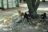 img0023.jpg