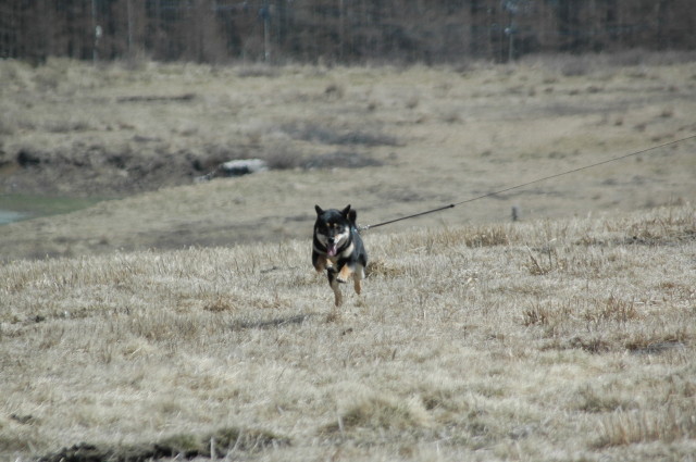 img0000.jpg