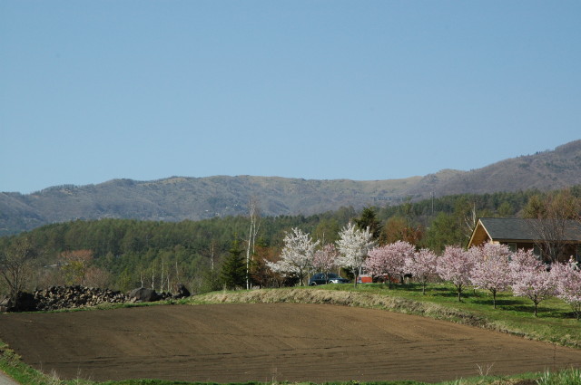 img0001.jpg