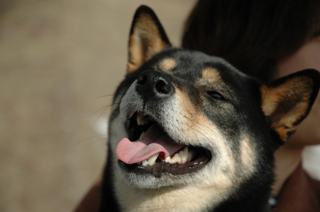 img0009.jpg