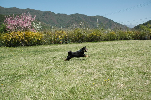 img0013.jpg