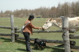 img0003.jpg