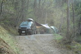 img0005.jpg
