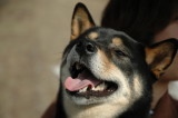 img0009.jpg