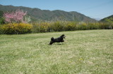 img0013.jpg