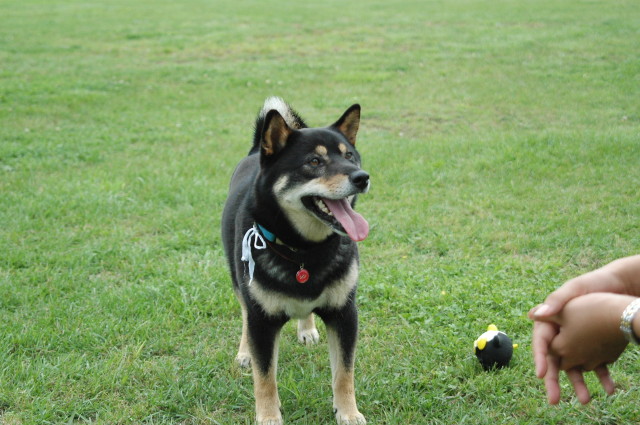 img0000.jpg