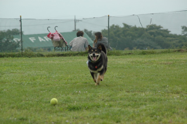 img0001.jpg