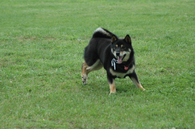 img0003.jpg