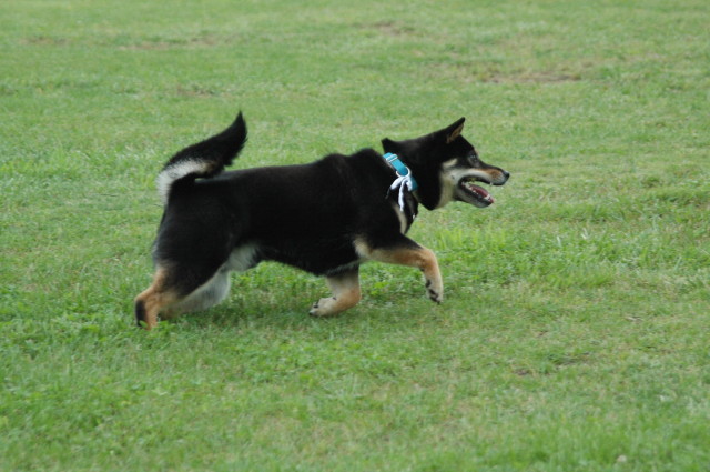 img0004.jpg