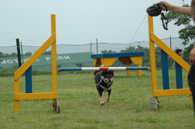 img0006.jpg