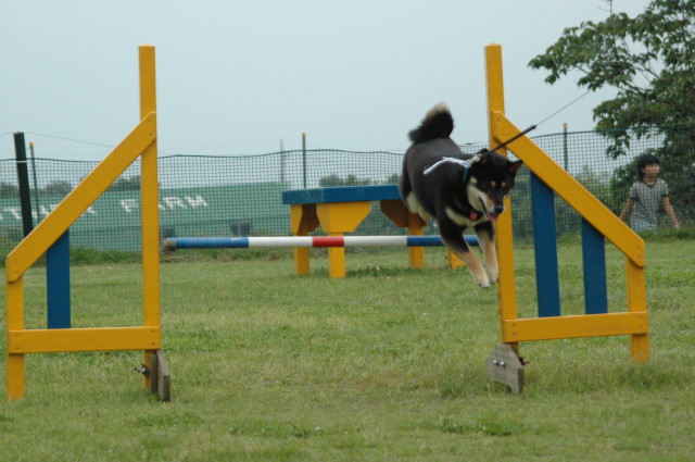 img0007.jpg