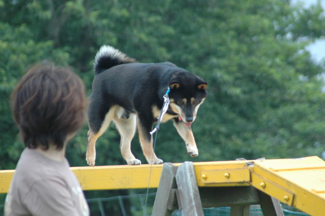 img0008.jpg