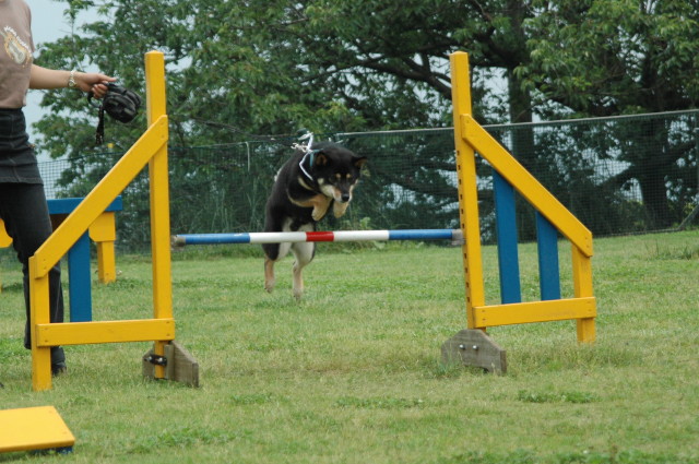 img0009.jpg