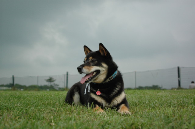 img0014.jpg