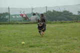 img0001.jpg