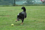 img0002.jpg