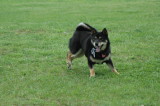 img0003.jpg