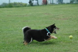 img0005.jpg