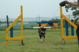 img0006.jpg